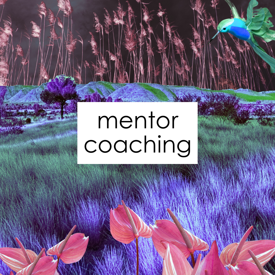 mentor coaching