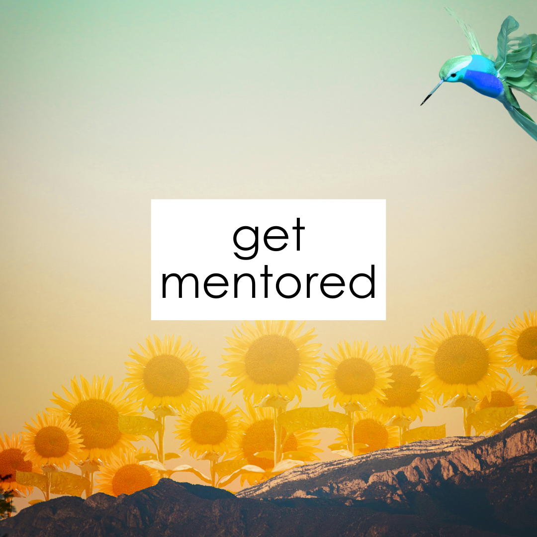 get mentored promo square